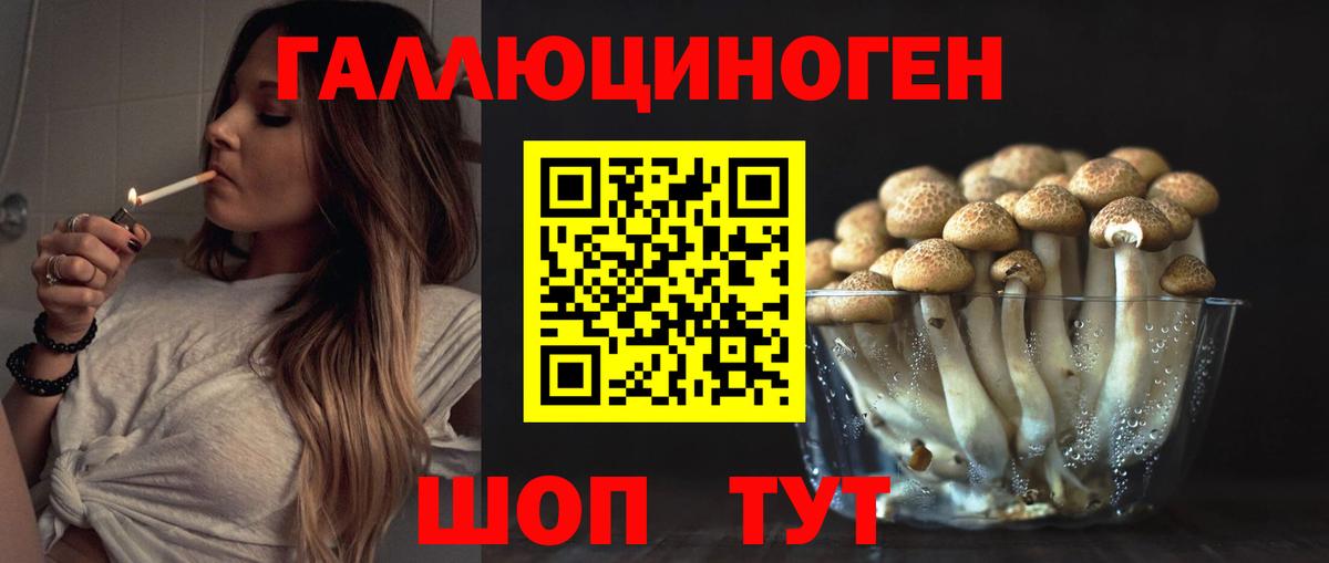 Сибай  Псилоцибиновые грибы Psilocybe  Вход с VPN  даркнет сайт  Псилоцибиновые грибы Magic Shrooms 